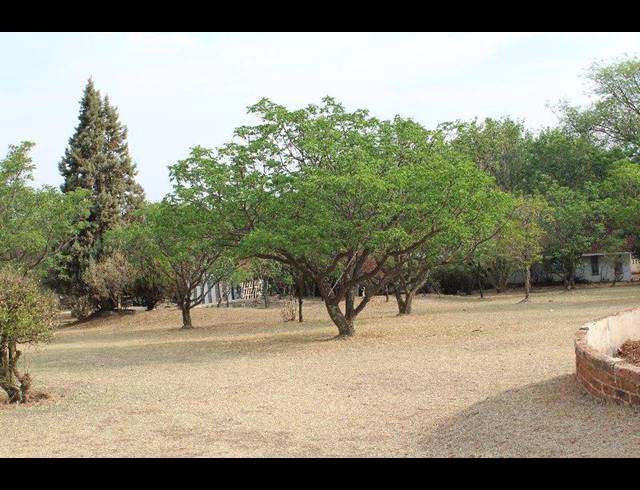 FARM FOR SALE IN GLENFERNESS